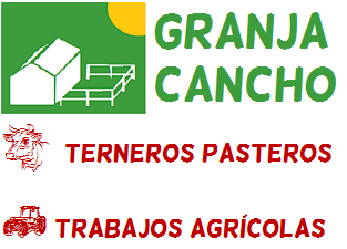 Terneros criados con manejo tradicional y con formas profesionales